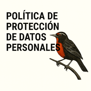 X_politicaprivacidad4838