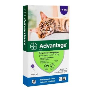 ADVANTAGE PIPETA GATOS