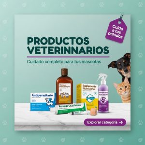 Veterinario